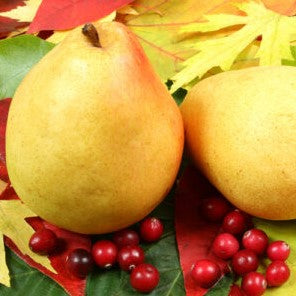 Cranberry Pear White Balsamic 375mL