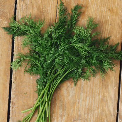Dill Extra Virgin Olive Oil 375mL