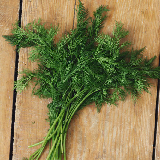 Dill Extra Virgin Olive Oil 375mL