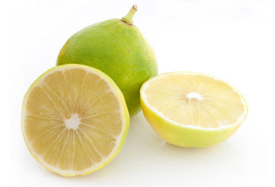 Bergamot Lemon Balsamic 375mL