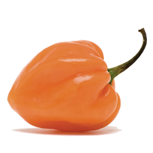 100mL Citrus Habanero Extra Virgin Olive Oil