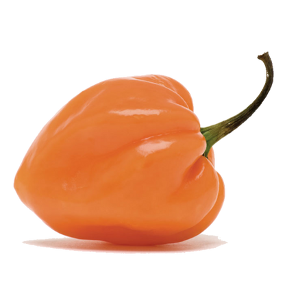 100mL Citrus Habanero Extra Virgin Olive Oil