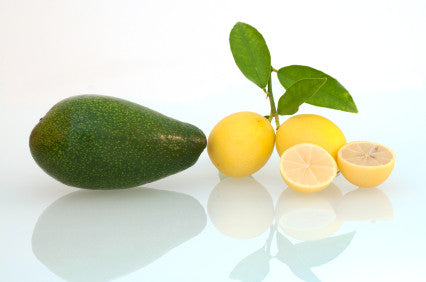 Lemon Avocado Oil 375mL