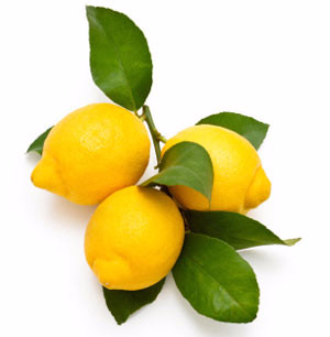 100mL Meyer Lemon Extra Virgin Olive Oil