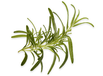 100mL Rosemary Extra Virgin Olive Oil
