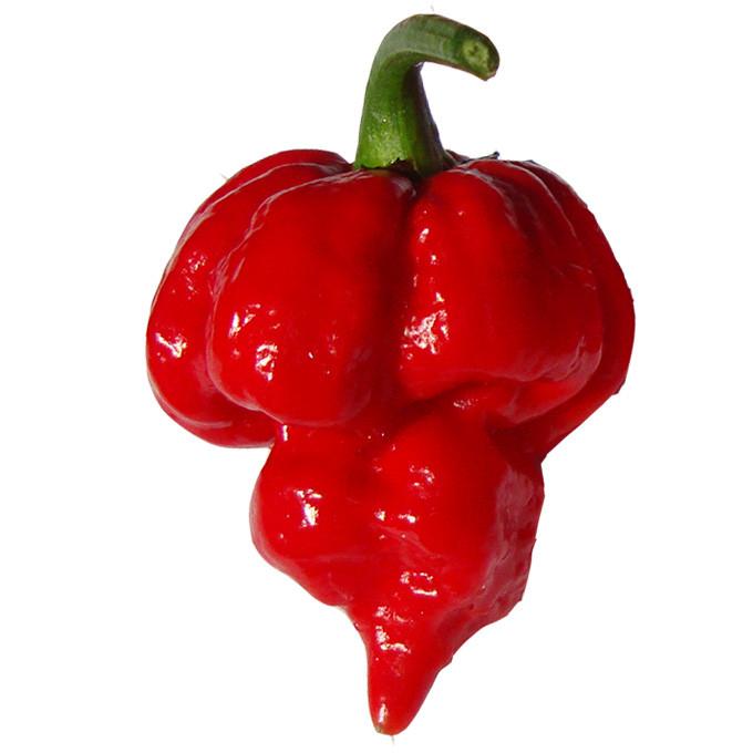 Sweet Diablo ORIGINAL Ghost Pepper with Scorpion Pepper Balsamic Hot Sauce