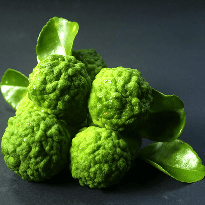 Bergamot Lemon Balsamic 375mL