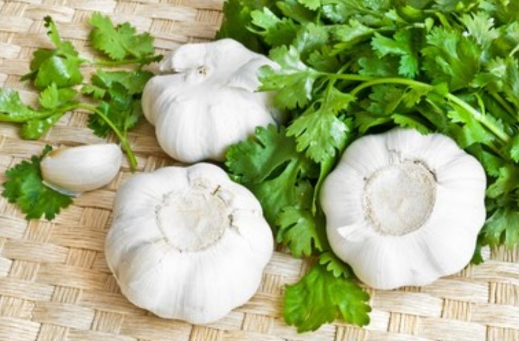 Garlic Cilantro Balsamic 375ml