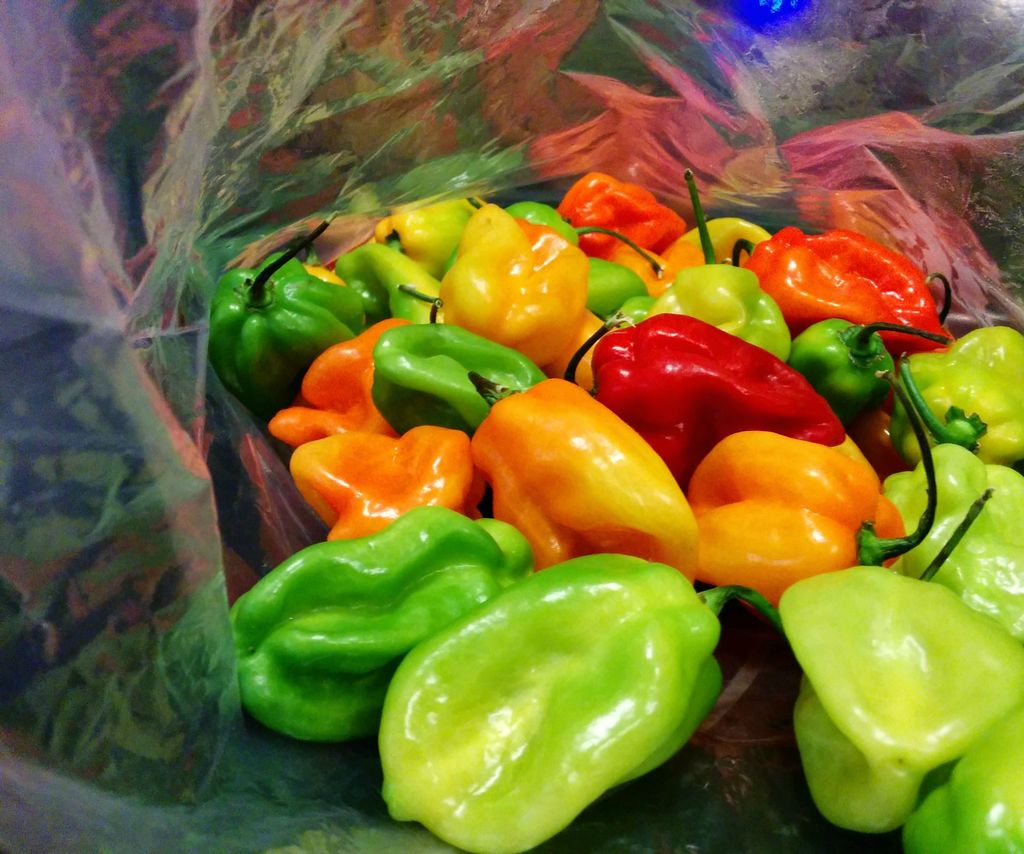 100mL Mesquite Habanero White Balsamic