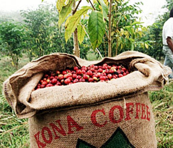 Kona Coffee Balsamic 375ml