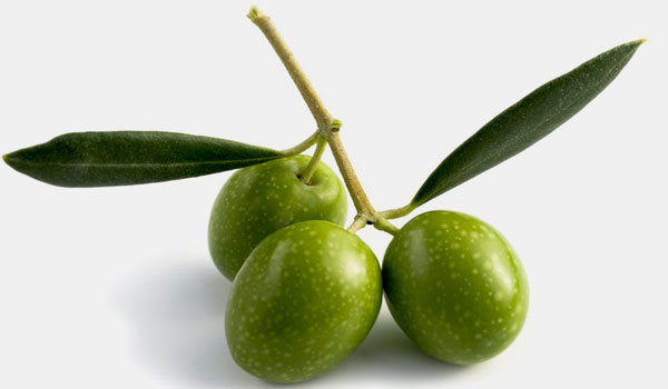 Greek Koroneiki Extra Virgin Olive Oil 375mL