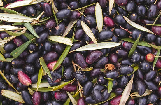 Spanish Picual Extra Virgin Olive Oil 375mL